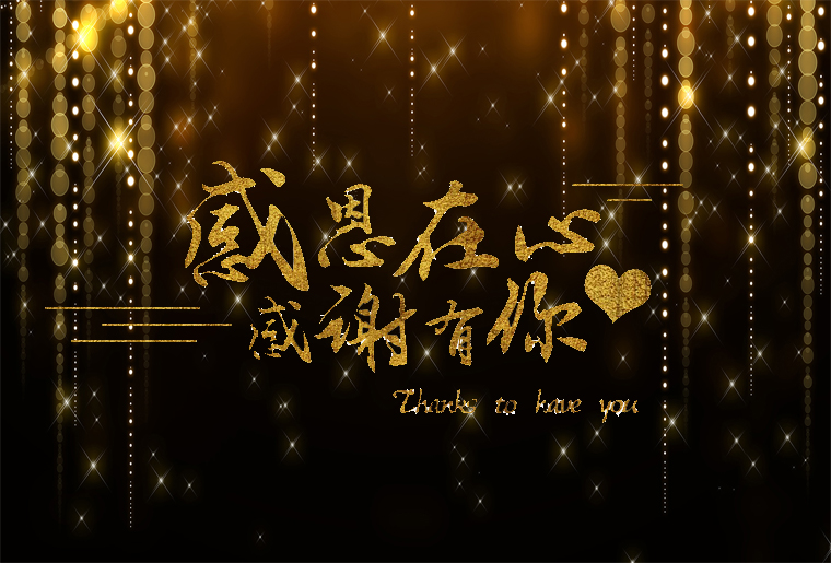 东升国际第四篇章 海纳百川：：：国际视野 共创绚烂