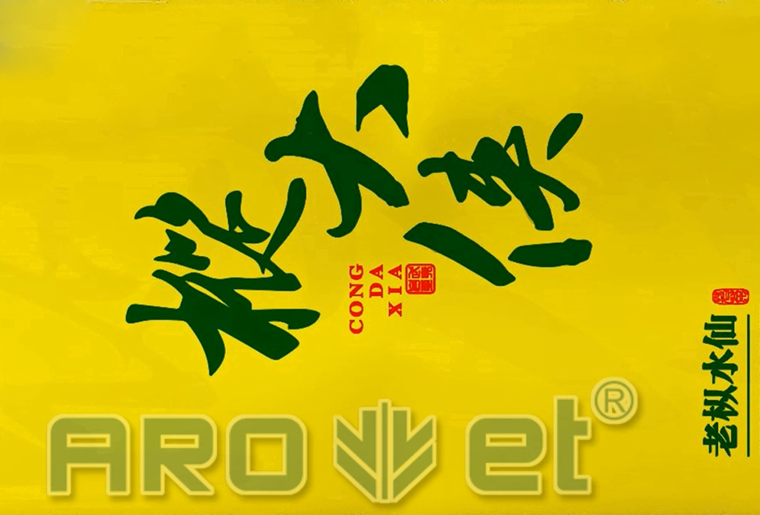 东升国际茶叶包装袋喷印装备在客户现场喷印视频