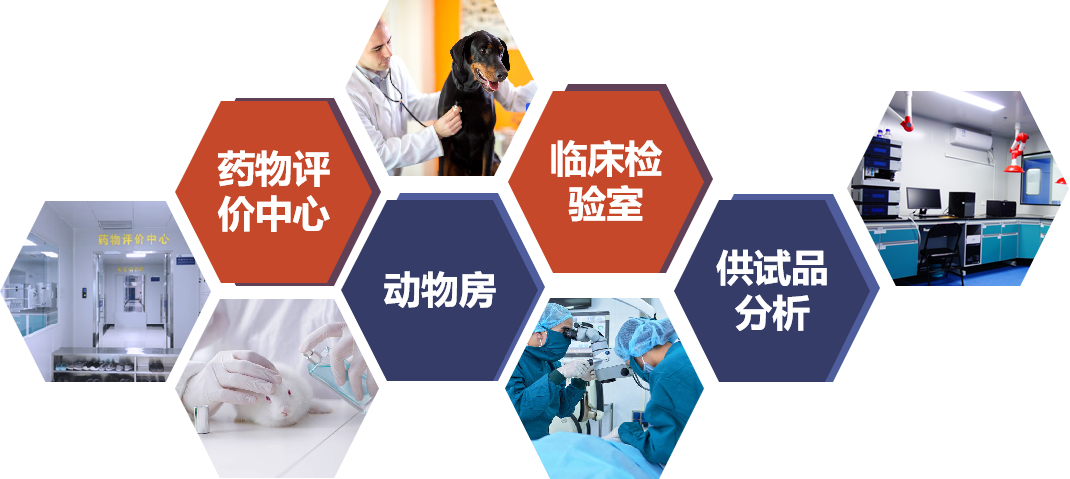 耀世娱乐(中国)官方网站