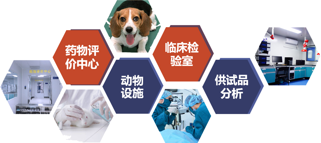 耀世娱乐(中国)官方网站